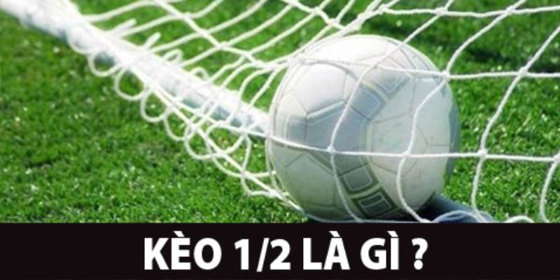Kèo 1/2 Tổng Quan Về Kèo 1/2 Trong Cá Cược